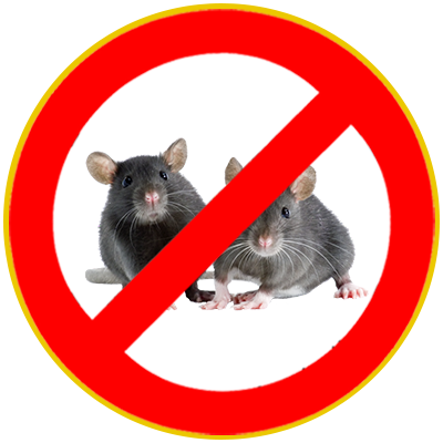 Desinfestação e controlo integrado de pragas urbanas